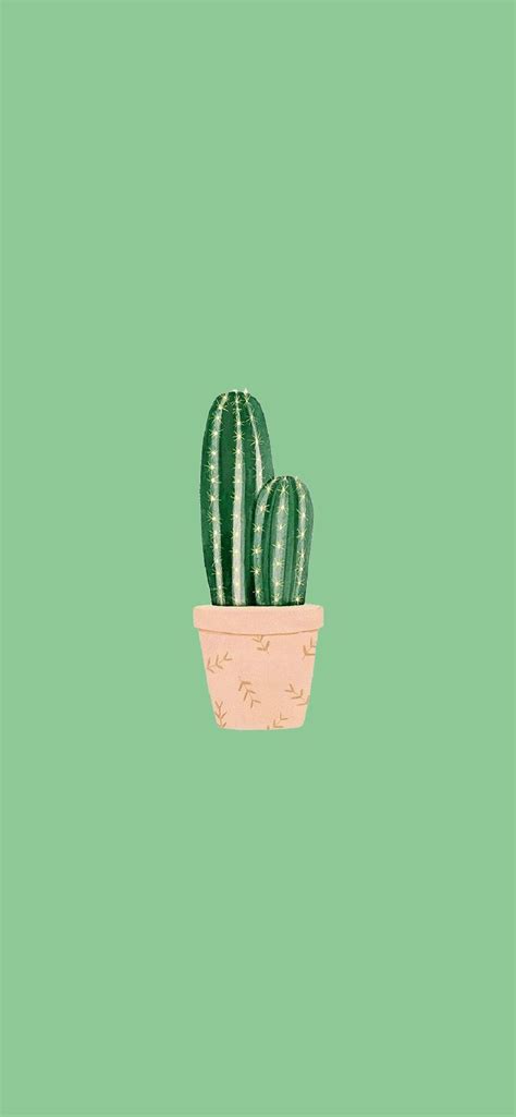 Cactus minimalist wallpaper | Wallpaper, Minimalist wallpaper, Iphone wallpaper