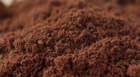 Common Organic Instant Coffee Powder at Best Price in Coimbatore ...