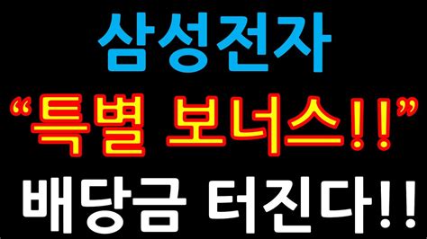 삼성전자“특별 보너스” 배당금 터진다 증시전망한국주식미국주식삼성전자 주가 전망삼성전자우삼성전자 우선주삼성전자