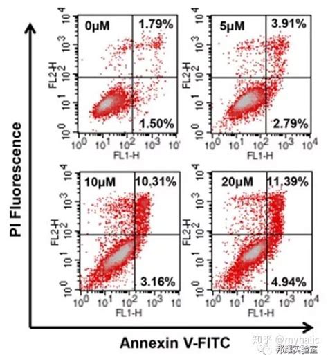 如何用流式检测细胞凋亡 知乎