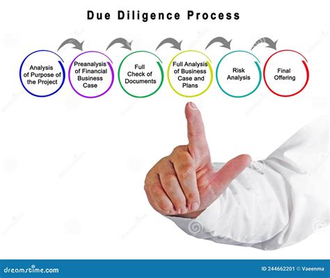 Proceso De Diligencia Debida Imagen De Archivo Imagen De Financiero