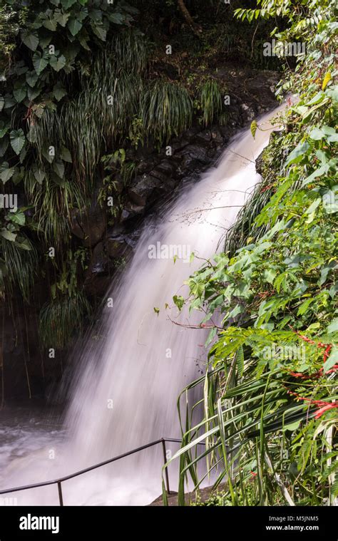 Annadale Waterfall, Grenada, Caribbean Stock Photo - Alamy