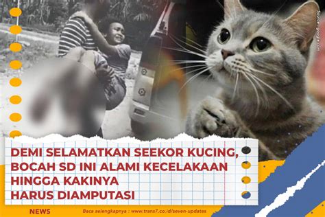 TRANS7 Demi Selamatkan Seekor Kucing Bocah SD Ini Alami Kecelakaan