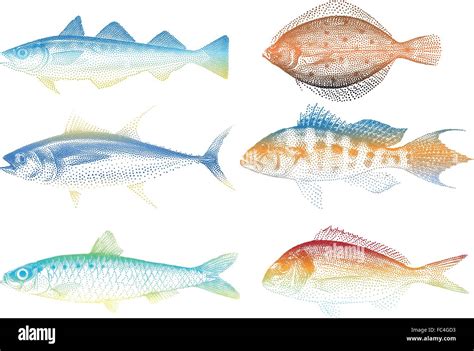 Satz Von Meer Fische Vektor Illustration Stock Vektorgrafik Alamy