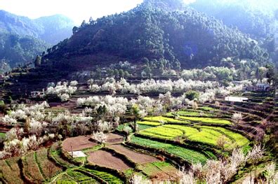 Places to Visit in Solan, Tourist Attraction in Salon