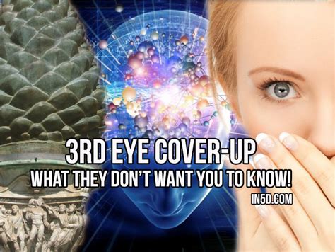 Third Eye Pineal Gland Quotes Quotesgram