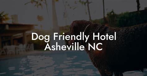 Dog Friendly Hotel Asheville NC - Dog Hotels