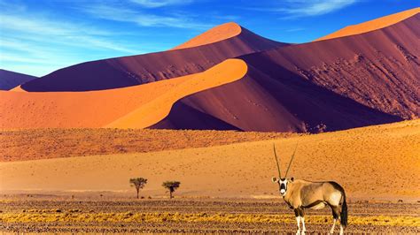 The Most Stunning Snapshots Of Namibia Deserts Culture And Beyond