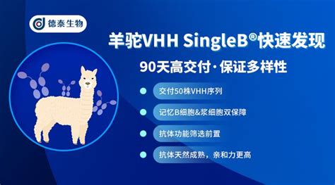 德泰生物羊驼vhh Singleb®快速发现纳米抗体定制案例分享 知乎