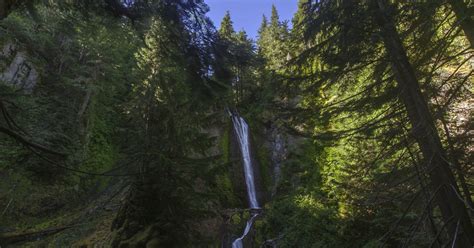 A jefferson ga historical discovery has surprised local residents 12