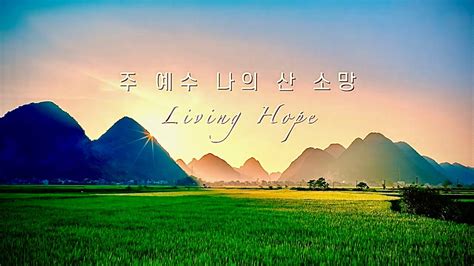 Living Hope 주 예수 나의 산 소망 이우해ver Youtube