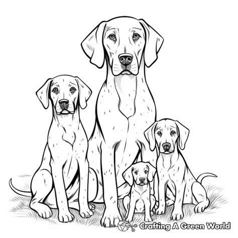 German Shorthaired Pointer Coloring Pages Free Printable