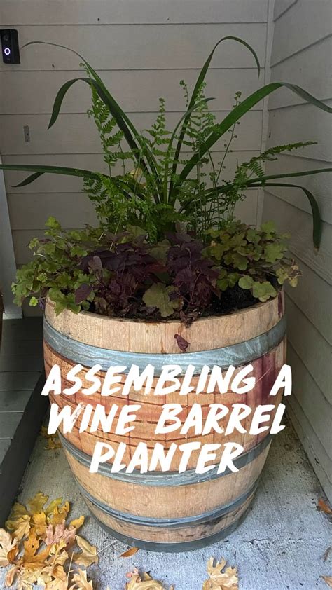 Assembling a wine barrel planter | Wine barrel planter, Barrel planter, Flower planters