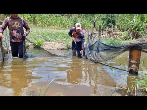 Peixes Comuns Morrendo Pescando Os Danados Que Passaram Na Tela Youtube