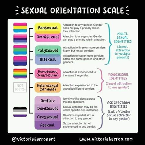 Sexual Orientation Scale By Victoria Barron Victoriabarronart R Coolguides