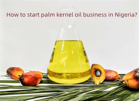 How Much Money Is Required To Start A Small Palm Oil Mill In Nigeria