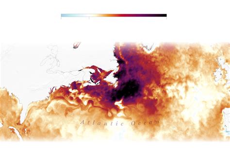 Ocean temperature maps show where waters are extraordinarily hot this ...