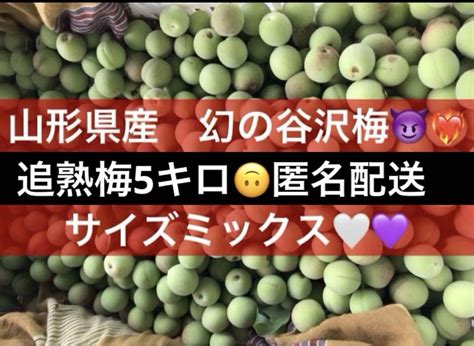 山形県産 谷沢梅 5キロ 追熟梅 無農薬 匿名発送 梅干し 梅酒 梅ジュース By メルカリ