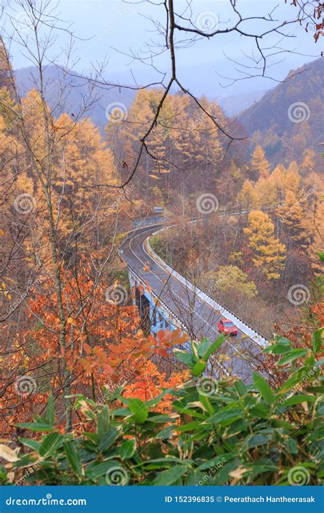 Road Among The Autumn Forest In Nakatsugawa Valley Yama Fukushima