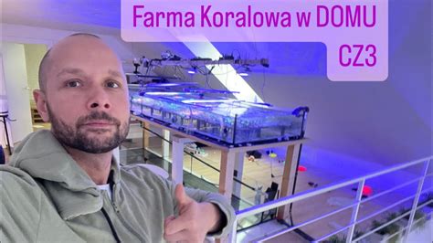 Buduje Farmę Koralową w domu Cz 3 System Uruchomiony pierwsze ryby i