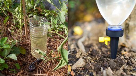 How To Water Your Garden Plants While Youre Away