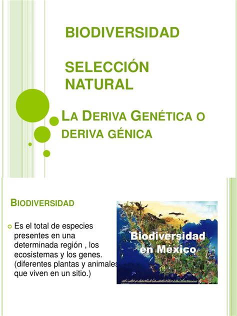 Pdf Biodiversidad Módulo 1 Dokumentips