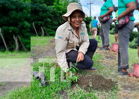 Ometepe más verde Siembran más de 100 árboles en el Oasis de Paz TN8 tv