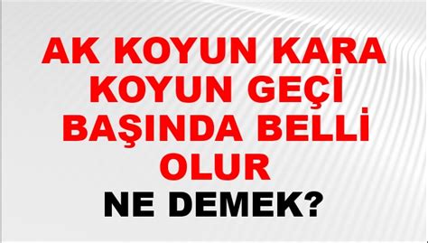 Ak Koyun Kara Koyun Geçit Başında Belli Olur Ne Demek Ak Koyun Kara