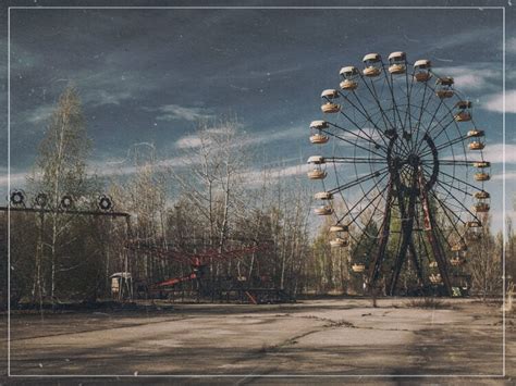 How wildlife reclaimed Chernobyl