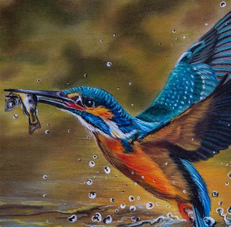 Kingfisher Bird Painting Original Art Birds Pastel Painting Etsy