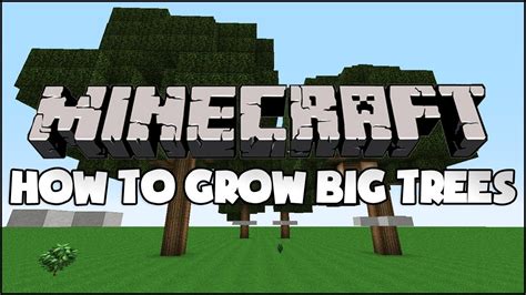 Minecraft How To Grow Big Trees Youtube