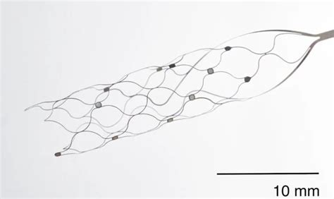 First Us Patient Receives Synchron Endovascular Bci Implant Applysci