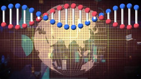 Animación De La Cadena Dna Que Rota Sobre El Monitor De Frecuencia