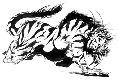 Sabertooth tiger | Pictures of Tiger