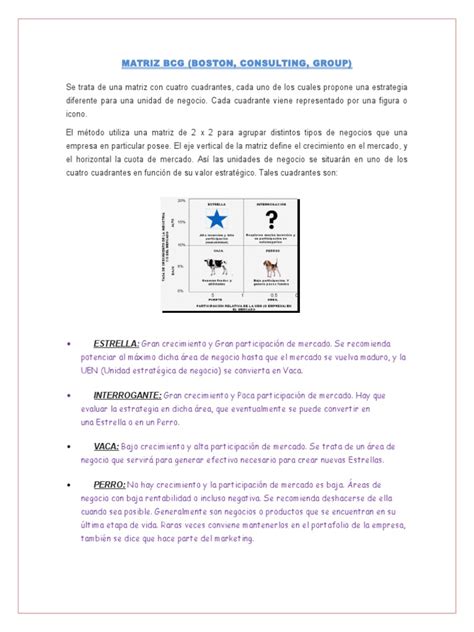 PDF En Que Consiste La Matriz Bcg Explicacion DOKUMEN TIPS