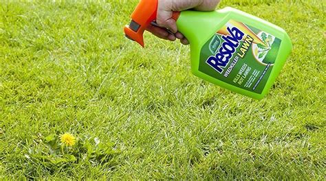 Best Weed Killer For Lawns In Kill Weeds Not Grass