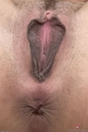 Delicious Pussies And Assholes Internet Porn Pic