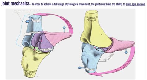 MSK Physiotherapy Objective Assessment SEM 2 FUNDAMENTALS