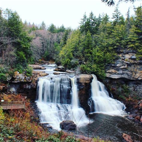 Blackwater Falls State Park | Blackwater falls state park, Blackwater falls, State parks