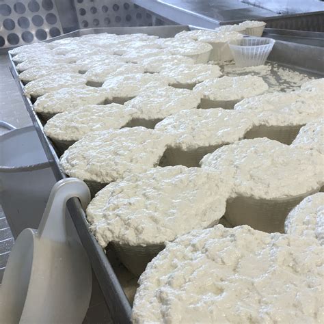 Ingredients for dairy and cheese - Italian Food Tech