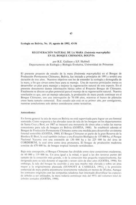 PDF Swietenia Macrophylla Ecologiaenbolivia Comecologiaenbolivia