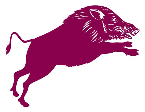Wild Pig Boar 14463812 PNG
