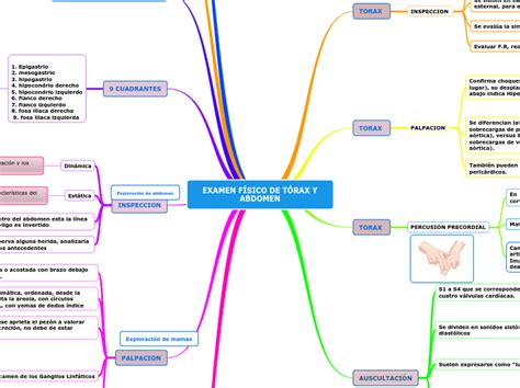 EXAMEN FÍSICO DE TÓRAX Y ABDOMEN Mind Map