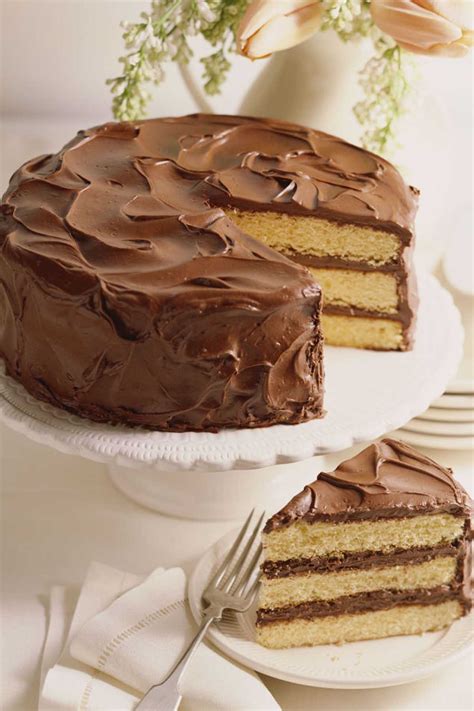 chocolate cake recipes easy 1