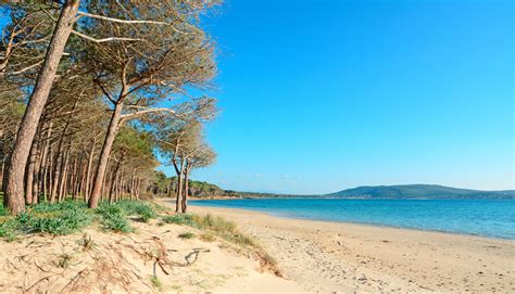 Najpiękniejsze plaże Sardynii które warto zobaczyć Travelitalia pl