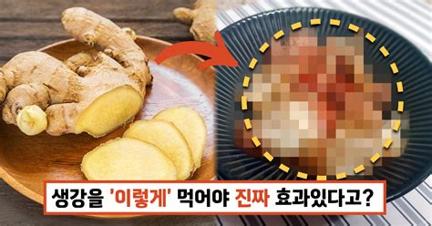 생강을 이렇게 먹어야 진짜 몸에 효과가 납니다 만성염증 당뇨 한방에 해결하는 생강 먹는 법