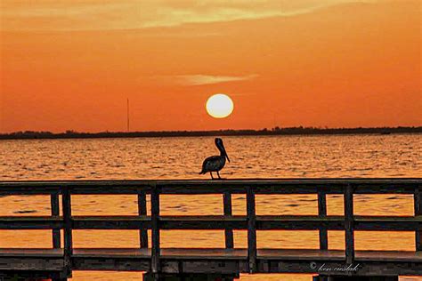 Lauren Kreidler On Twitter Stunning Sanibel Sunrise Check Out This