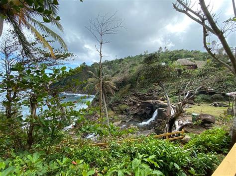 Kalinago Territory (Dominica) - 2020 All You Need to Know BEFORE You Go ...