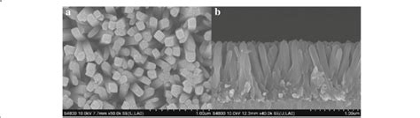 Sem Images Of Rutile Tio Nanorod Array Film Grown On Fto Substrate A