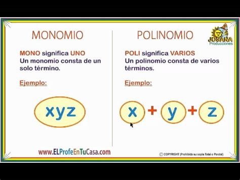 Descubre Los Secretos De Los Polinomios Y Monomios En Lgebra